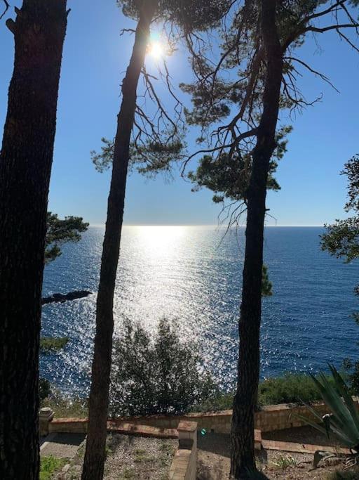 The Soldo'S Apartment Dubrovnik Ngoại thất bức ảnh